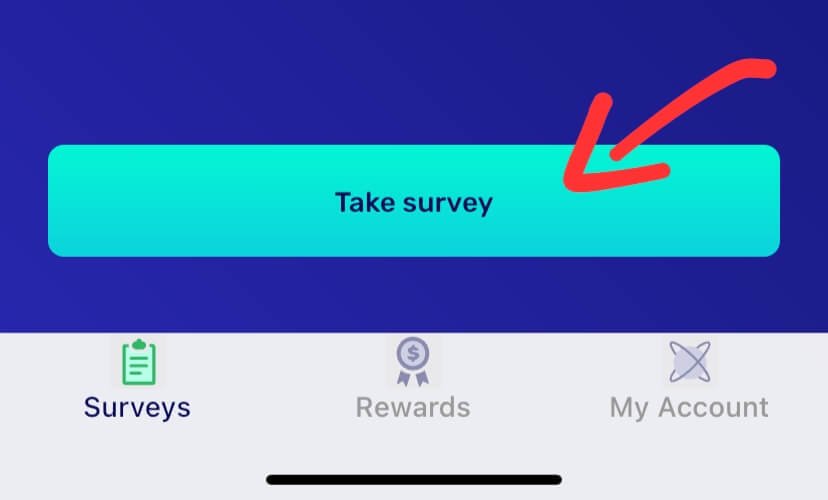 Surveytime io Earn $1 Instantly for Every Survey You Complete